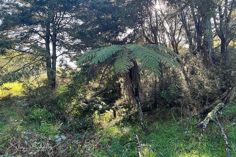Photo of property in 171 Arcadia Road, Paparoa, 0571