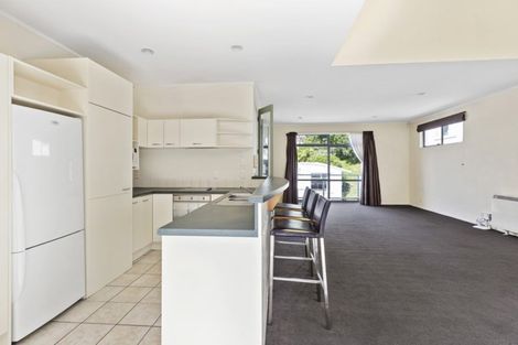 Photo of property in Fernhill Flats, 9/324 The Terrace, Te Aro, Wellington, 6011