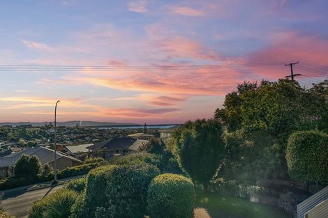 Photo of property in 313 Hill Street, Richmond, 7020