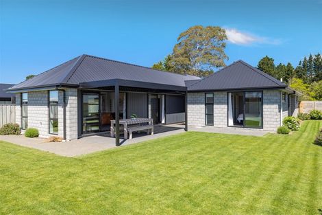 Photo of property in 24 Charles Major Road, Rolleston, 7614