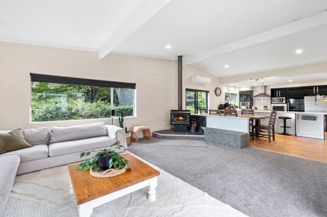 Photo of property in 93 Te Puna Quarry Road, Minden, Tauranga, 3179