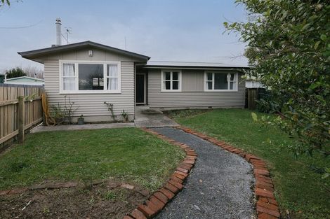 Photo of property in 25 Mokau Place, Terrace End, Palmerston North, 4410