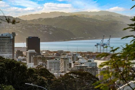 Photo of property in Manston Apartments, 1e/145 Ohiro Road, Brooklyn, Wellington, 6021