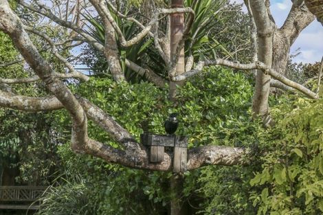 Photo of property in 100 Burnley Terrace, Sandringham, Auckland, 1025