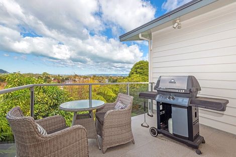 Photo of property in 1 Belgium Terrace, Mangapapa, Gisborne, 4010
