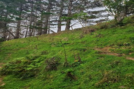 Photo of property in 482 Krippner Road, Puhoi, Warkworth, 0994