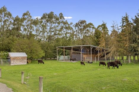 Photo of property in 73 Garrymere Road, Okuku, Rangiora, 7473