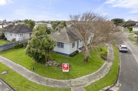 Photo of property in 11 Montrose Place, Takaro, Palmerston North, 4412