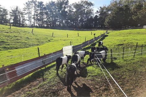 Photo of property in 1106 Puketotara Road, Okaihau, 0295