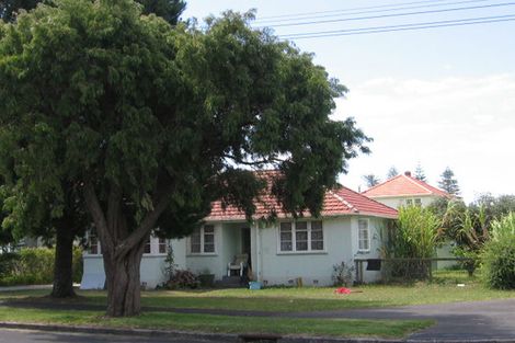 Photo of property in 46 Anderson Avenue, Point England, Auckland, 1072