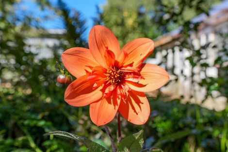Photo of property in 197 Mary Street, Richmond, Invercargill, 9810