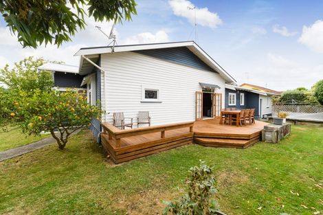 Photo of property in 48 Limbrick Street, Terrace End, Palmerston North, 4410