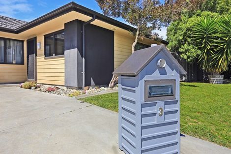 Photo of property in 3 Mcnaughton Place, Onekawa, Napier, 4110