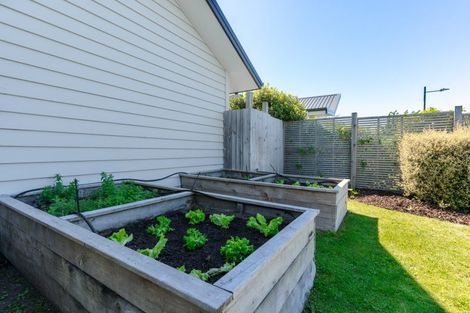 Photo of property in 6 Maitland Crescent, Rolleston, 7614