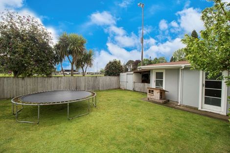 Photo of property in 21 Rata Street, Matamata, 3400