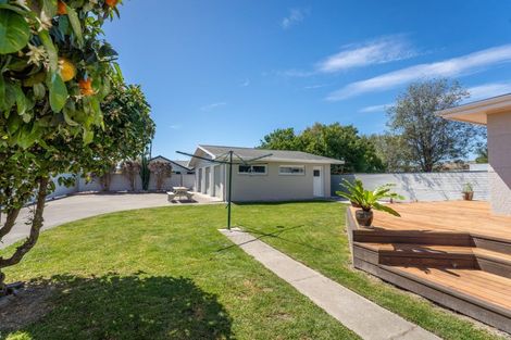 Photo of property in 19 Goodman Street, Blenheim, 7201