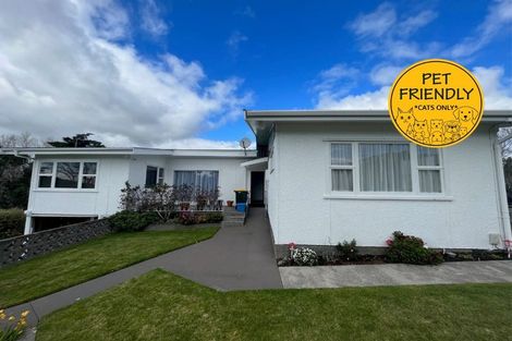 Photo of property in 335 Tukapa Street, Hurdon, New Plymouth, 4310