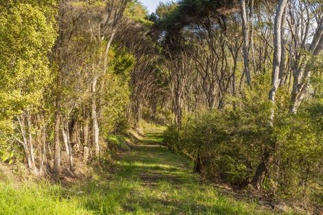 Photo of property in 70e Centennial Drive, Whitianga, 3510