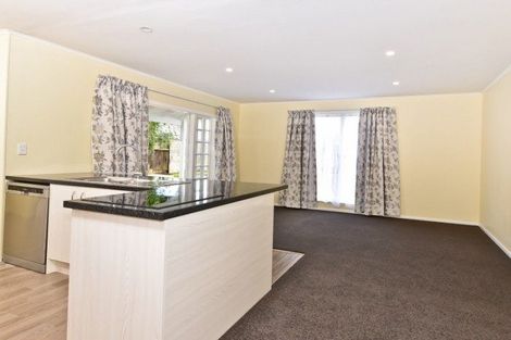 Photo of property in 10 Larnach Street, St Andrews, Hamilton, 3200