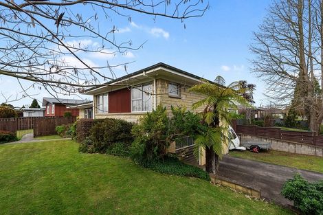 Photo of property in 2 Freemont Street, Chartwell, Hamilton, 3210