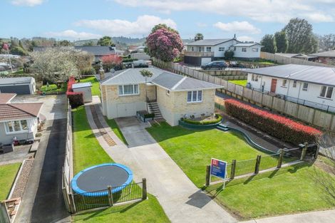 Photo of property in 28 Station Street, Tirau, 3410