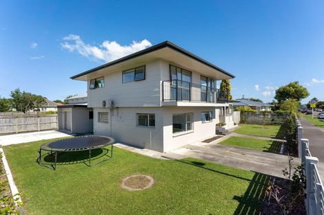 Photo of property in 417 College Street, Hokowhitu, Palmerston North, 4410