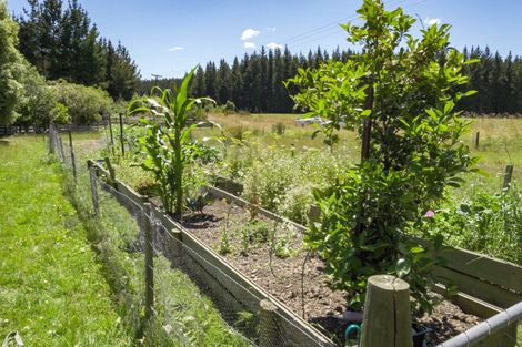 Photo of property in 405 Nightcaps-ohai Highway, Ohai, Otautau, 9689