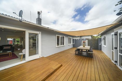 Photo of property in 406 Ruahine Street, Terrace End, Palmerston North, 4410