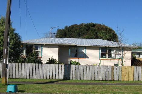Photo of property in 183 Old Wairoa Road, Papakura, 2110