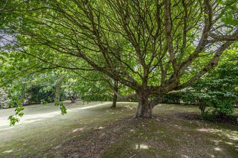 Photo of property in 582 Kerikeri Road, Kerikeri, 0293