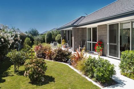 Photo of property in 8 Amber Grove, Matamata, 3400