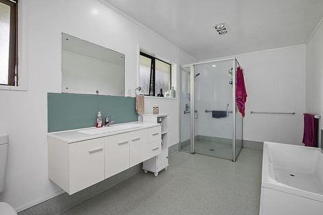 Photo of property in 619 Mercer Ferry Road, Pukekawa, Tuakau, 2696