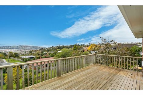 Photo of property in 117 Riselaw Road, Calton Hill, Dunedin, 9012