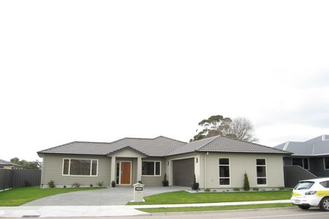Photo of property in 99 Russell Robertson Drive, Havelock North, 4130