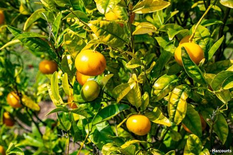 Photo of property in 146 Eden Road, Tasman, Upper Moutere, 7175