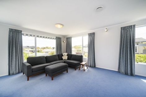 Photo of property in 107 Dittmer Drive, West End, Palmerston North, 4412