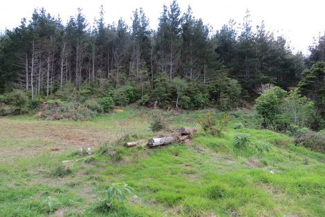 Photo of property in 154 Wood Road, Colville, Coromandel, 3584