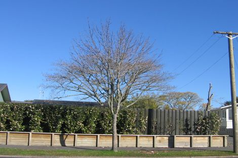 Photo of property in 9 Carlyle Avenue, Chartwell, Hamilton, 3210