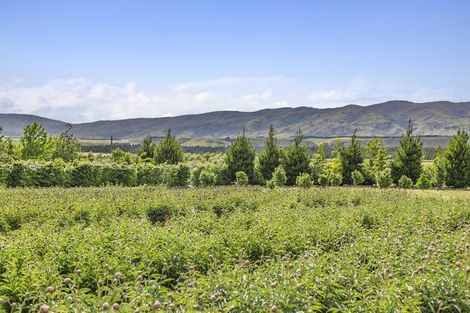 Photo of property in 42d Gladsmuir Road, Queensberry, Cromwell, 9383