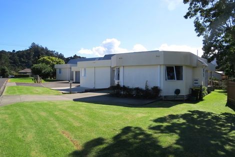 Photo of property in 90 Victoria Street, Coromandel, 3506