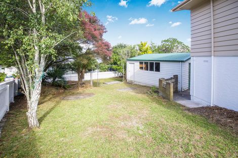 Photo of property in 64 Ellis Avenue, Mount Roskill, Auckland, 1041
