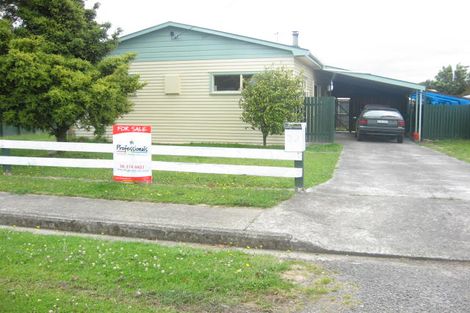 Photo of property in 32 Tui Street, Pahiatua, 4910