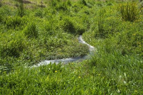 Photo of property in 178 Hereford Road, Oropi, Tauranga, 3173