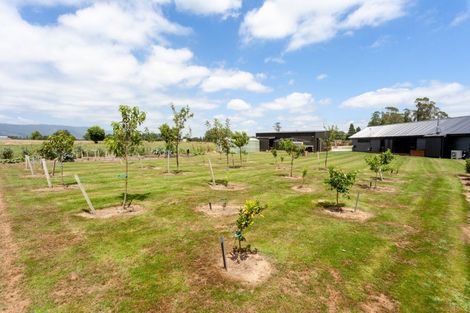 Photo of property in 1394 Tower Road, Wardville, Matamata, 3471