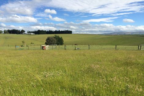 Photo of property in 86 Totara Island Road, Clifton, Balclutha, 9273