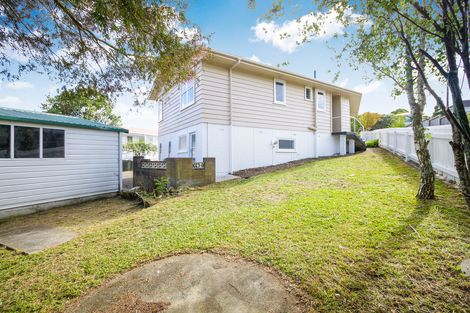 Photo of property in 64 Ellis Avenue, Mount Roskill, Auckland, 1041