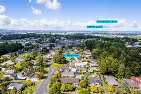 Photo of property in 63 David Avenue, Hillpark, Auckland, 2102