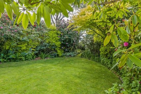 Photo of property in 20 Market Street, Leeston, 7632