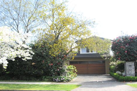 Photo of property in 37 Grey Street, Glenholme, Rotorua, 3010