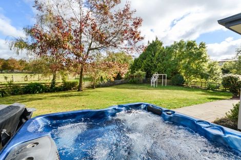 Photo of property in 8 Almond Grove, Feilding, 4702